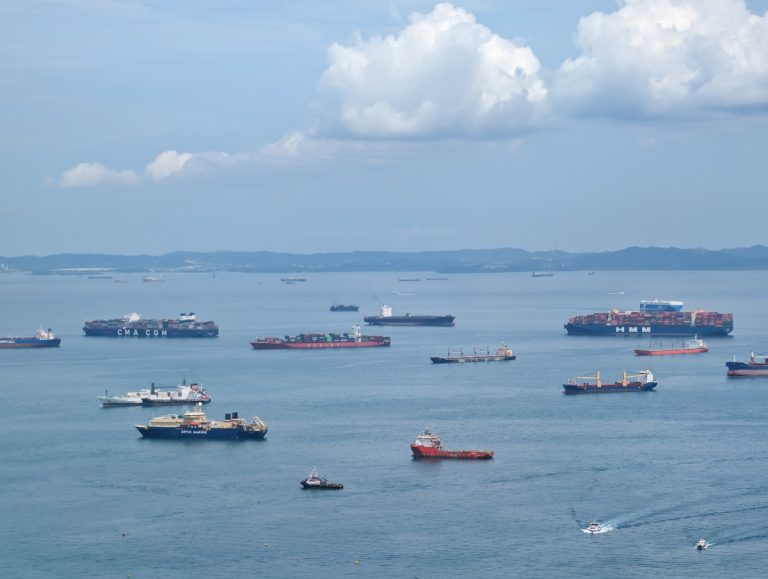 Navires dans le détroit d'Ormuz, route maritime stratégique du pétrole mondial