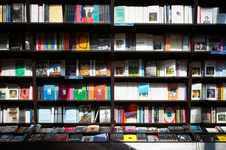 Rayonnage de livres dans une librairie - édition française